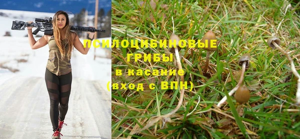 ПСИЛОЦИБИНОВЫЕ ГРИБЫ Верхнеуральск
