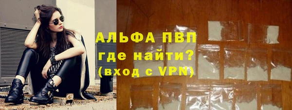 spice Верея