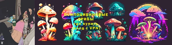 ECSTASY Бикин