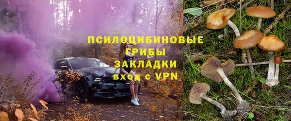 ПСИЛОЦИБИНОВЫЕ ГРИБЫ Верхнеуральск