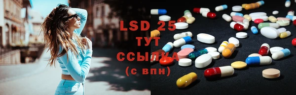 spice Верея