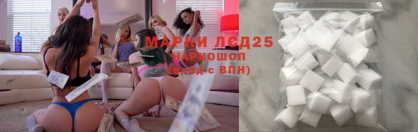 spice Верея