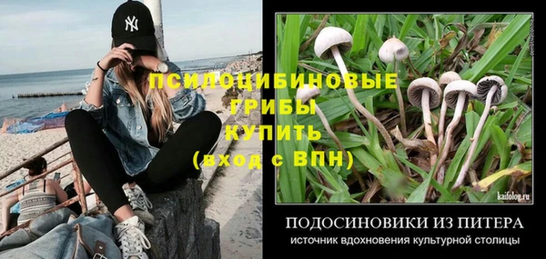 ПСИЛОЦИБИНОВЫЕ ГРИБЫ Верхнеуральск