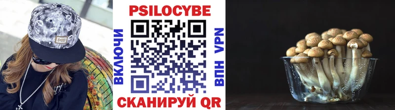 наркошоп  Гаджиево  Псилоцибиновые грибы ЛСД 